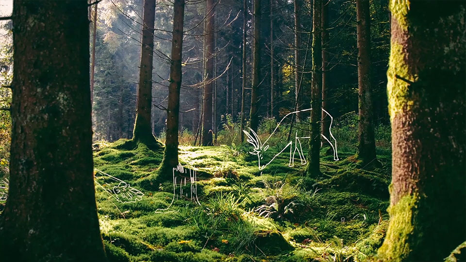 Ausschnitt aus dem NABU BW Imagefilm - Wald mit Sribble-Hirsch